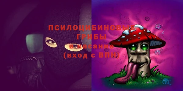 spice Алексеевка