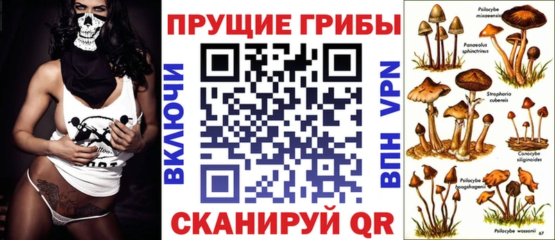 mega   Полярные Зори  Псилоцибиновые грибы GOLDEN TEACHER  где продают  