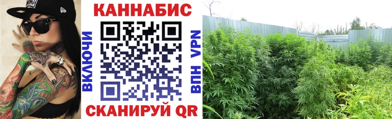 Бошки марихуана White Widow Полярные Зори